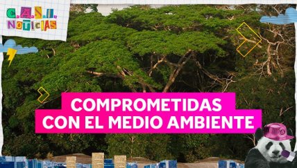 ¡'Army' peruana ha adoptado un bosque en Madre de Dios en homenaje a BTS!