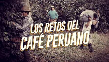 Día del café peruano: Estos son algunos de sus retos 
