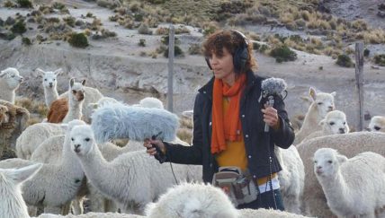 Un viaje sonoro por el Perú