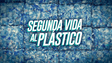 Estas dos organizaciones le dan una segunda vida al plástico