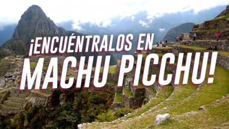 Estos son los animales que puedes ver en Machu Picchu