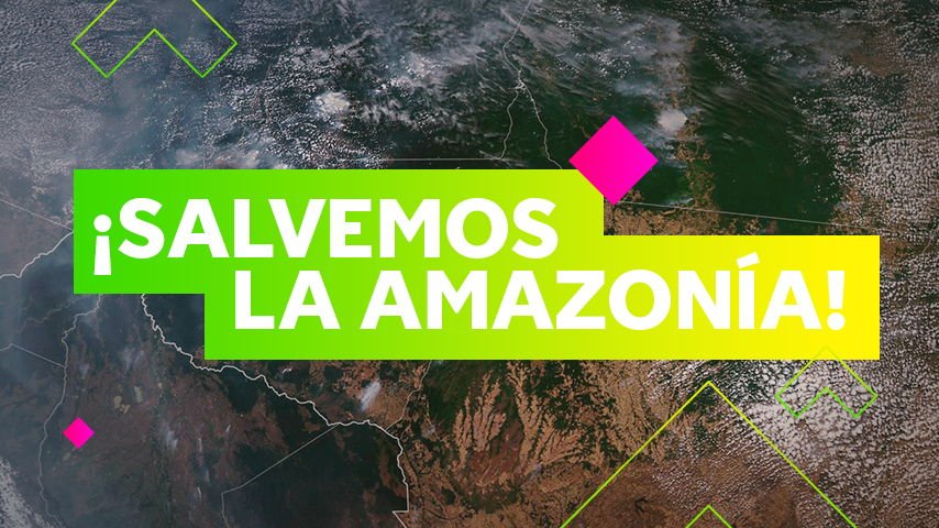 10 acciones para conservar la Amazonía