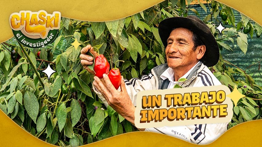 ¿Valoramos la agricultura del Perú? 