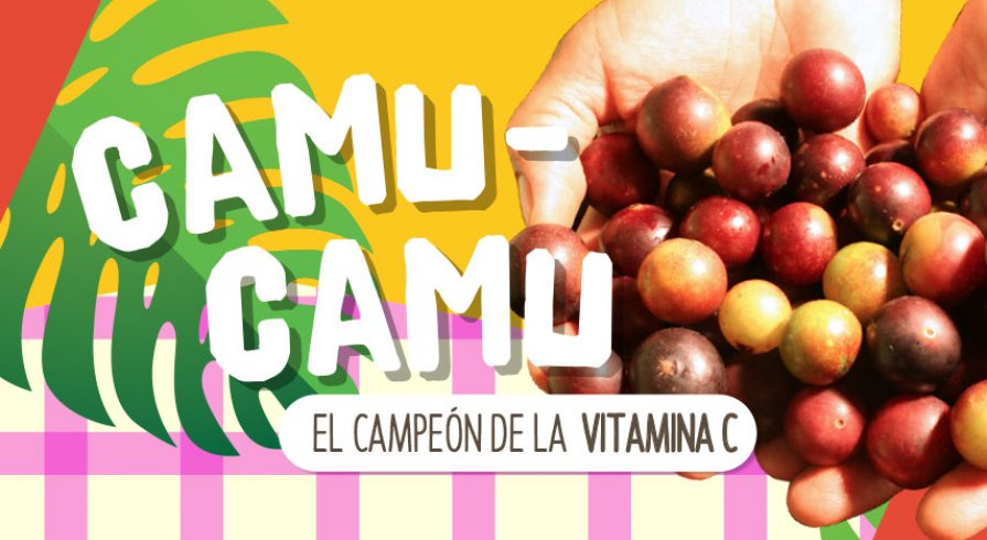 Camu-Camu, el campeón de la vitamina C