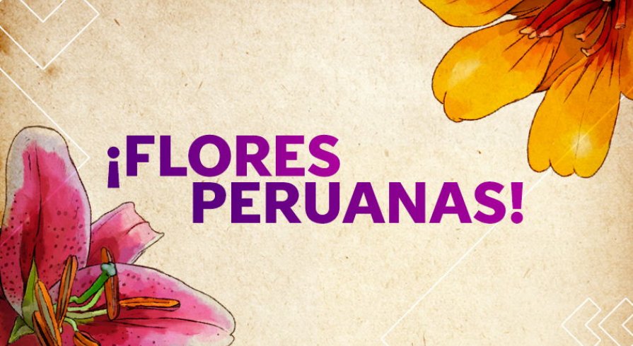 Estas Son Las Flores Mas Bonitas De Todo El Peru